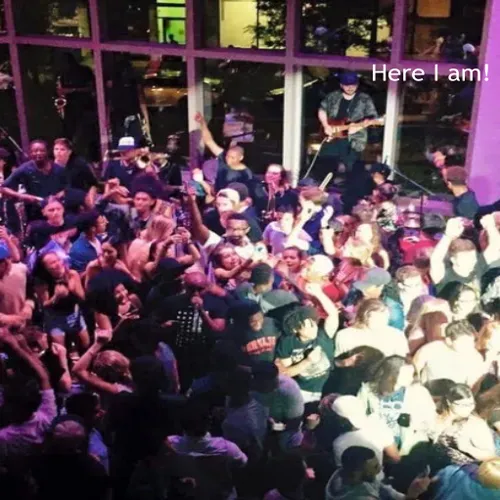 large crowd at a concert